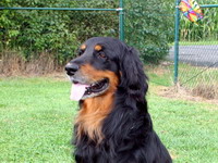 Anton